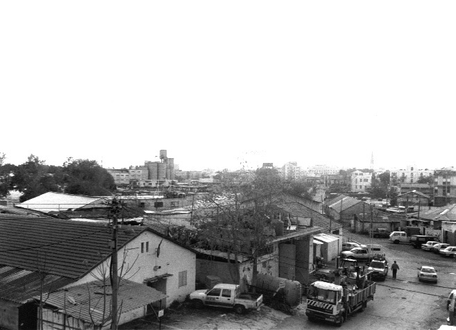 צילום: לנה קוזנצובה